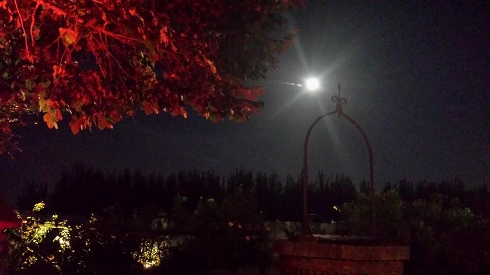 Вілла Agriturismo Ferretti Massa Lombarda Екстер'єр фото